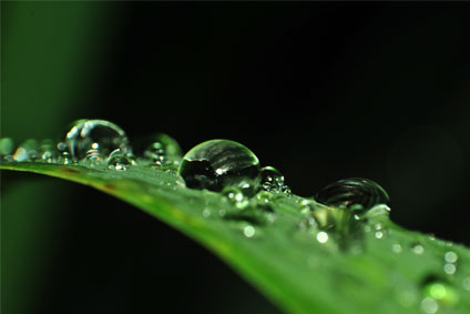 Trinkwasserspender schonen die Umwelt