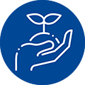  Ein Symbol einer Hand, die eine Pflanze mit einem frischen Trieb hält, was für Nachhaltigkeit oder Umweltbewusstsein steht.